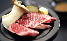 ���g����@���g�O�����h�z�e���@�͂��̂�