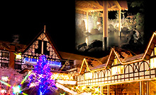 ���y��򉷐�@�z�e���O���[���v���U�y���