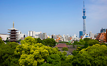 ���W�f���V�����z�e���@�r�[�R���e�󑐁i2011�N5���I�[�v���j