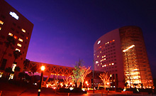 �z�e�����Z��