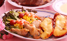 �J���g���[�n�E�X�@�p�f�B���g�����Ȗ،���