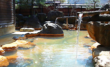 �����ف@������������̏h