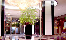 ����O�����h�z�e��