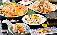 ����牷��@�����̏h�@����