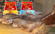 ����Ή���@����R���z�e���@�a��