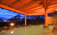 那須湯本温泉 ホテルビューパレス