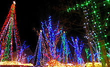 �䍂���򋽁@�z�e���A���r�G���g���ܖ�