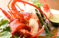 �󏍁@�΂���@