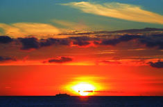 �`�m�`�C���^�[�R���`�l���^�������r�[�`���]�[�g