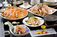 ����牷��@�����̏h�@����