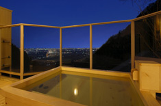 �ꌳ�ف@�V�G�̗�