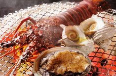 �ɐ��ɘȂށ@�����Q���̖����h�@�։��̋{