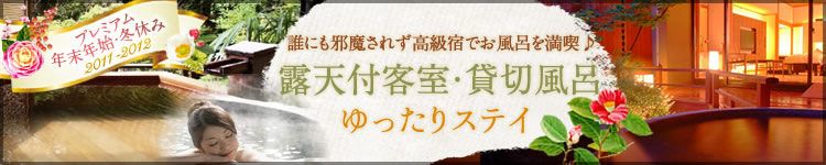 �I�V�t�q���E�ݐؕ��C