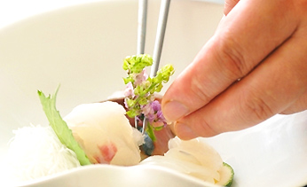 別府温泉 ホテル白菊