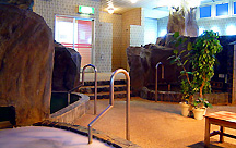 �����̓��E�z�e�����C�l