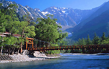 �z�e�����������㍂�n��