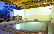 �ߐ{����@�z�e���O���[���p�[���ߐ{