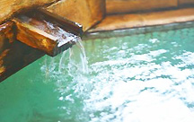 �q�E���R������@���ف@�O�V�����i����̂��傤��j