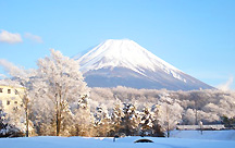 �x�m�N���V�b�N�z�e��