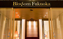 �i�q��B�z�e���@�u���b�T�������i���@�i�q��B�z�e�������j