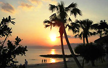 奄美リゾート ばしゃ山村 <奄美大島>