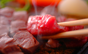 �a����@�t���̏h�@��������