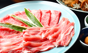 ���C����@�z�e���p�X�g�[��