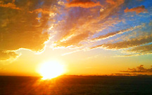 �Q�X�g�n�E�X�@�O���[���E�o�[