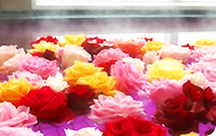 �������̏h