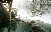 �����쉷��@�{�Ɣ��v