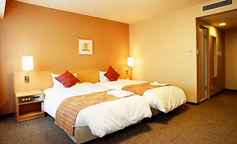 �_�C�����C�l�b�g�z�e���H�c