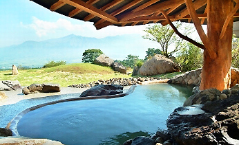 �z�e���O���[���s�A�숢�h