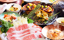 �ɍ��ۉ���@�l�C�̘I�V���C�t�q���ƓS�l���������킦��h�@���̂���