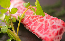 �S���܂�h�@�Ђ��܂�