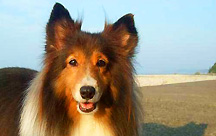 �ɐ��񌩁@�����Ɣ��܂�闷�ف@�܂���