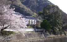 松崎温泉 御宿しんしま