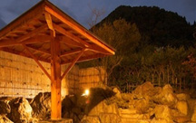 �э≷��@�Չ������q��