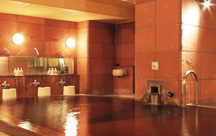 帯広天然温泉 ふく井ホテル