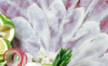 別府温泉 ホテル白菊