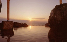 瀬波温泉 大観荘 せなみの湯