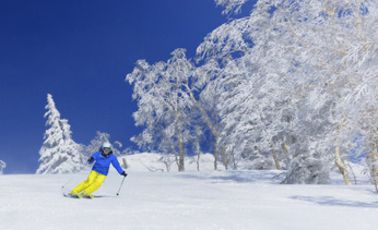 キロロリゾート