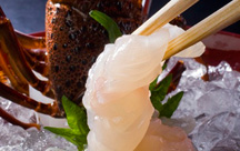 ���H�r���[�z�e���@�Ԑ^��