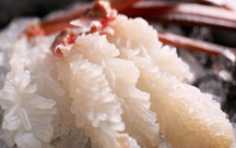 �R������@�z���o�Â���@�S��t