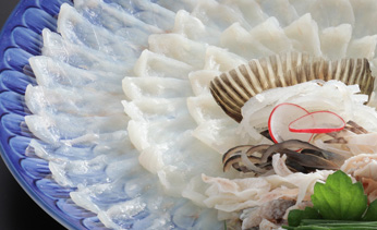 ���c����@���̏h�@���̏h�@�~�T��