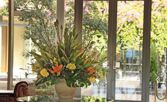 ���l����@�R�K�m�C�x�C�z�e��