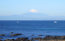 �����}���[�i�z�e��