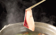 �Ђ݉��򋽁@���ˉ���@�X���O�����h�z�e���}�C�A�~������