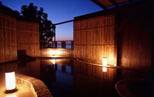 �������̎��R���@�M�����t