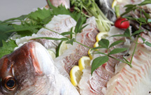 �ɗǌ΃V�[�p�[�N&�X�p�i���@�ɗǌ΃K�[�f���z�e�����]�[�g&�X�p�j