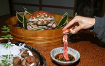 雲見温泉 松原荘<静岡県>